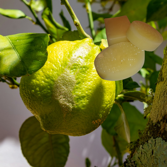 "Fresh Citrus Glow – Natural Lemon Soap"